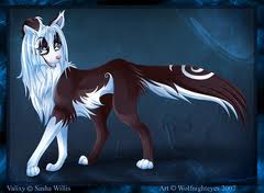 Valixy